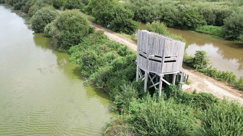 Balade matinale à la Réserve naturelle du Marais d'Orx