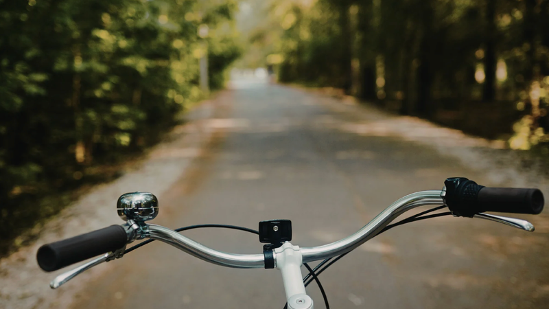 Vélo & huîtres au fil du Boudigau