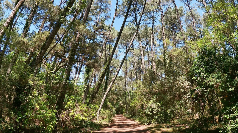 Randonnée du Tuc des Neuf Églises à Capbreton