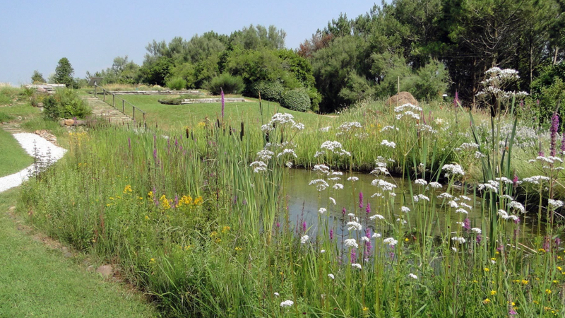 Sortie sur l’Espace Naturel Sensible d’Arxiloa & jardin botanique