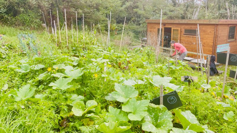 Jardinage et pause café au potager, seul(e) ou avec enfant(s) !