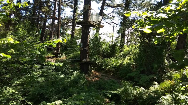 Accrobranche au parc Oihana