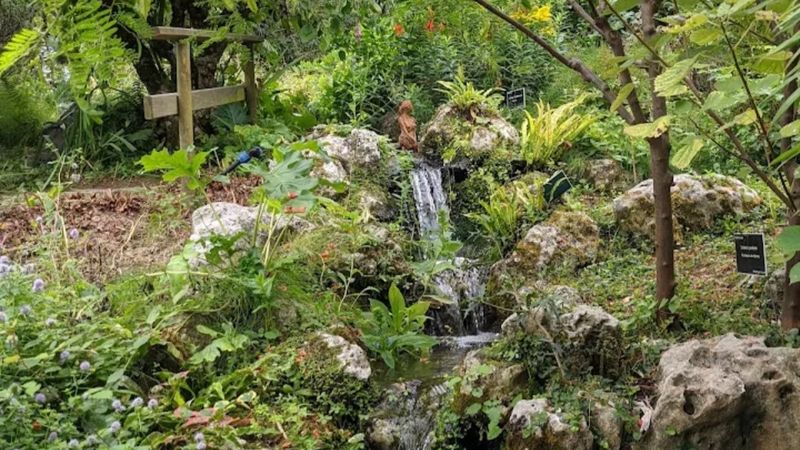 LES MOTS SUSPENDUS AU JARDIN BOTANIQUE